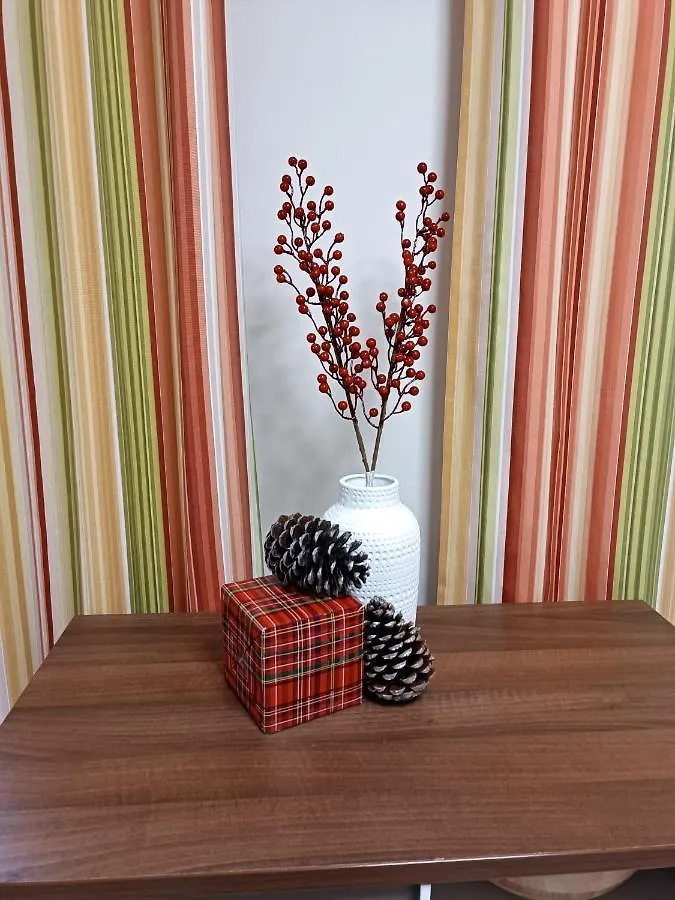Piso Centrico En Santander Apartment Spain